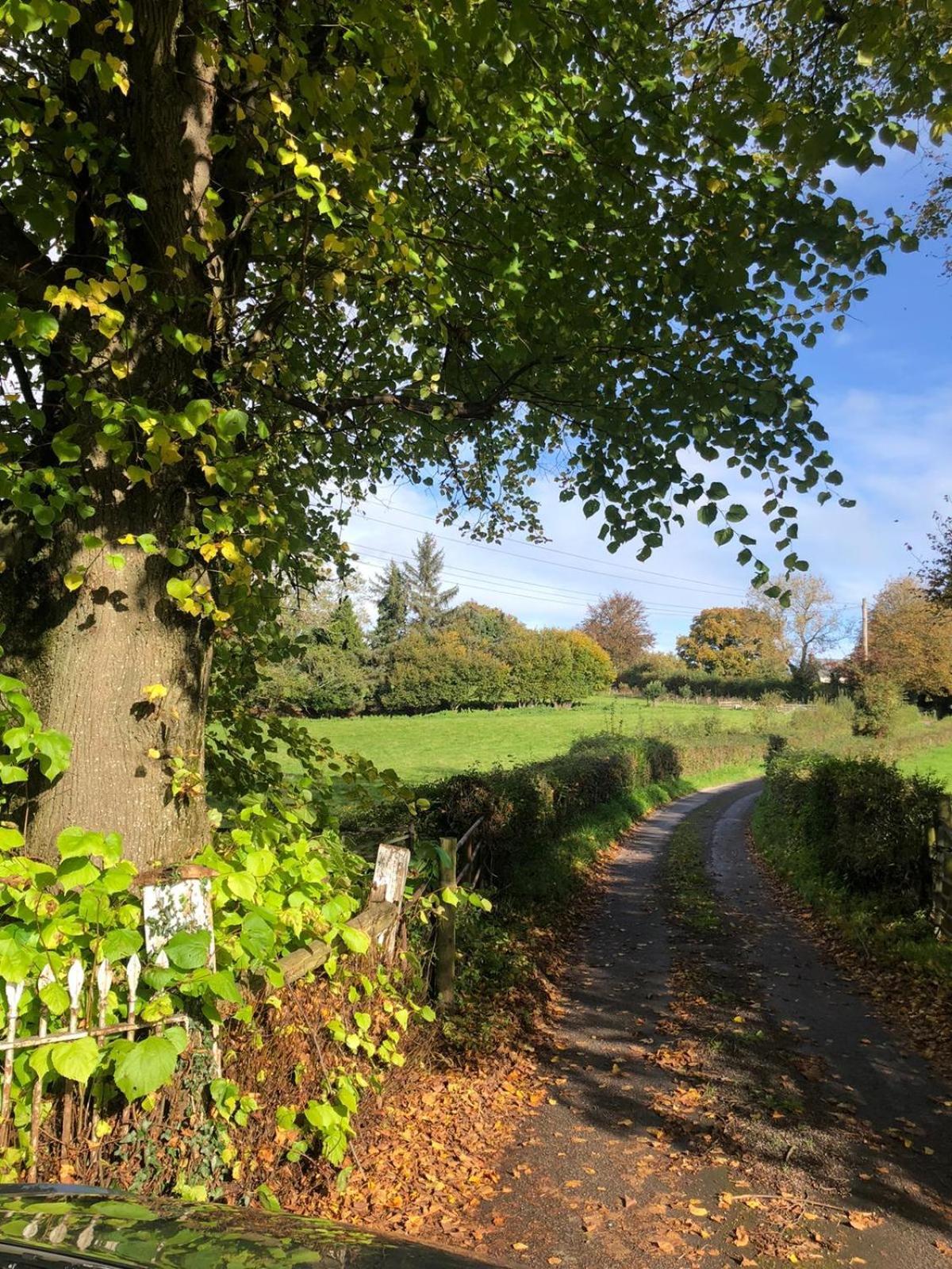 The Cottage Abergavenny Εξωτερικό φωτογραφία