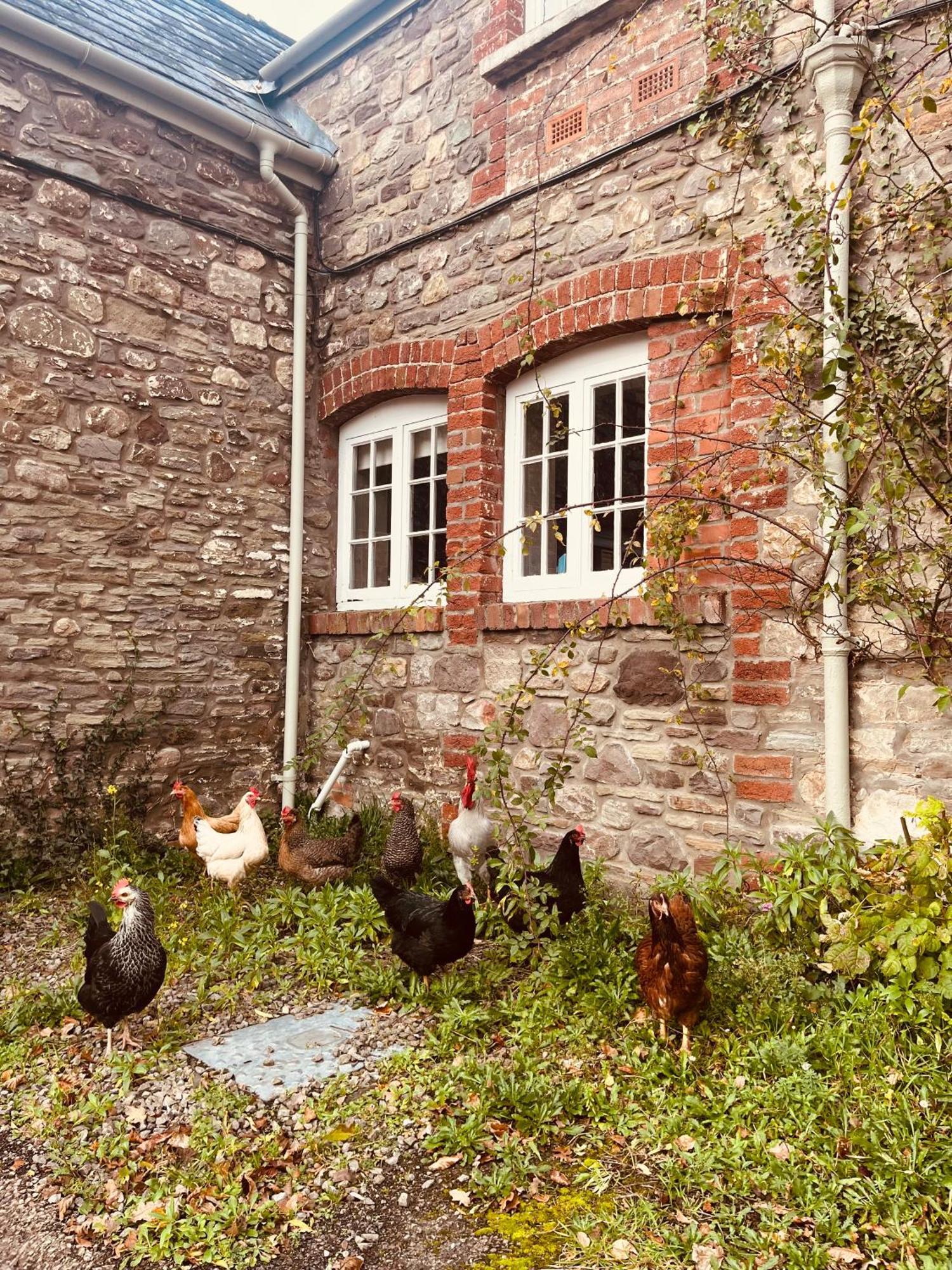 The Cottage Abergavenny Εξωτερικό φωτογραφία