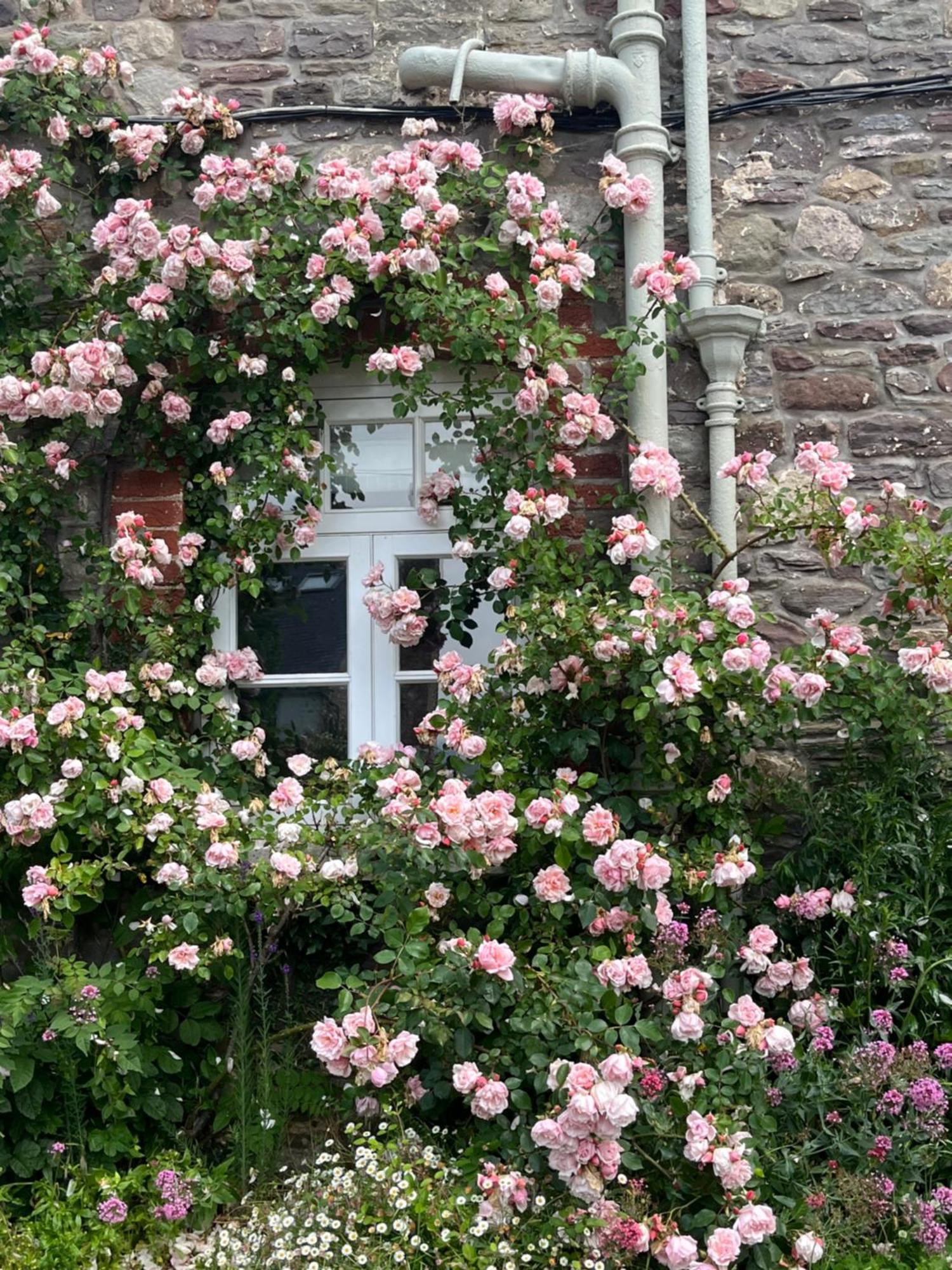 The Cottage Abergavenny Εξωτερικό φωτογραφία